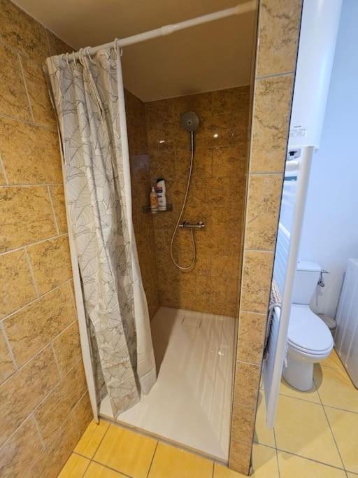 La Petite Bulle Apartment Villeneuve-sur-Yonne
